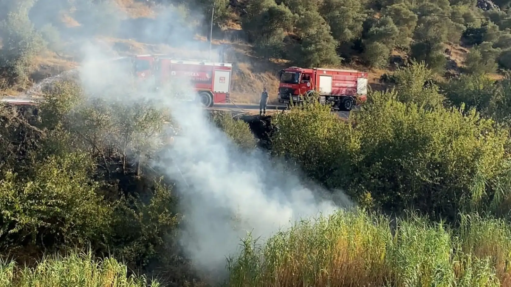 Milas'ta Sarıçay Köprüsü'nde otluk yangını