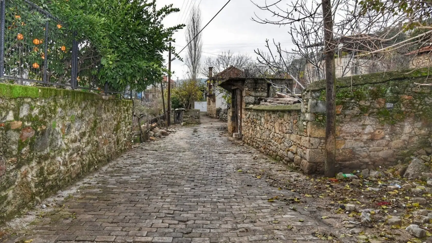 Milaslıların başka şehirlere gittikleri zaman 'Bodrumluyum' dedikleri ortaya çıktı
