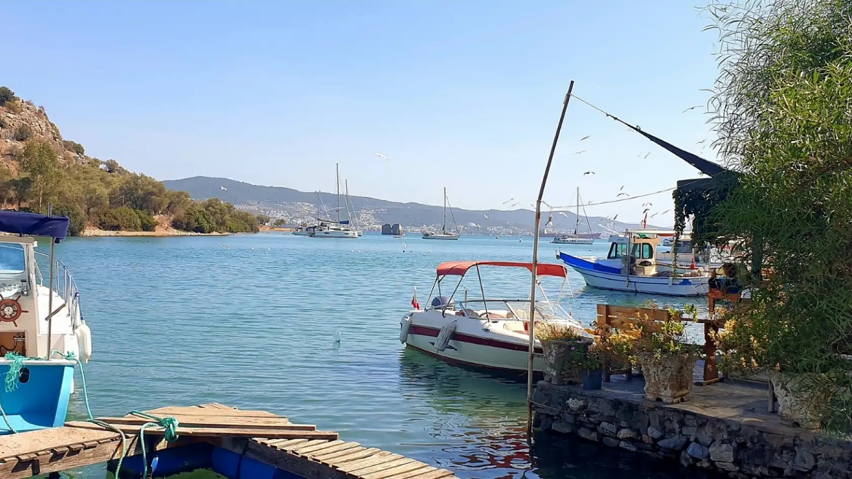 Milas'ta eski balıkçı köyü şimdi yazlık cennete dönüştü