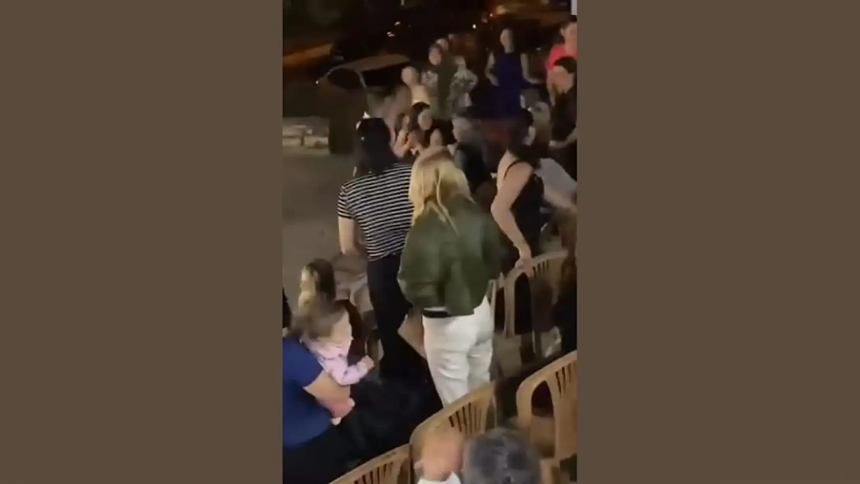 Bodrum'da yaban domuzları düğünü bastı halay yerine panik yaşandı