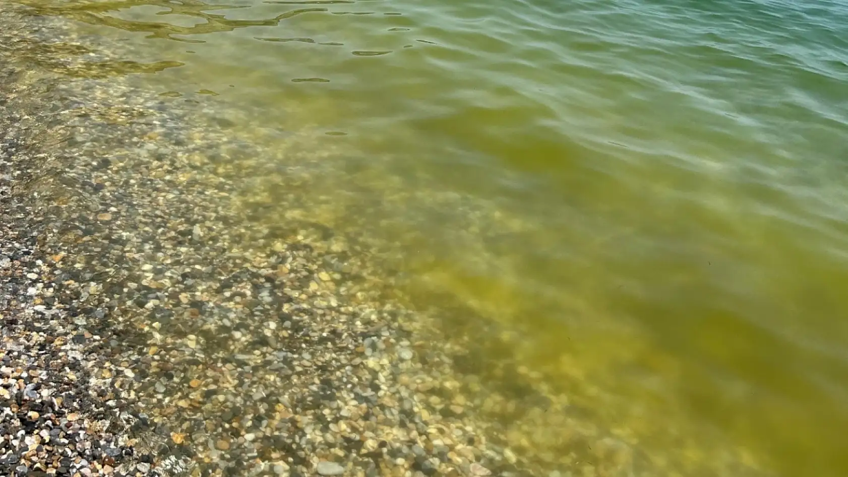 Turizm Cenneti Tehlikede: Ören'de Deniz Kirliliği Gözle Görülüyor