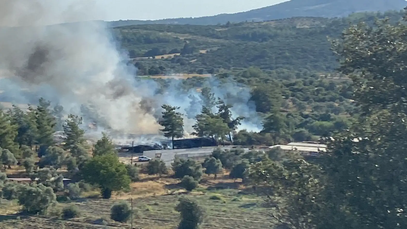 Ulaş Mahallesi Yakınlarında Çıkan Yangın Büyümeden Söndürüldü