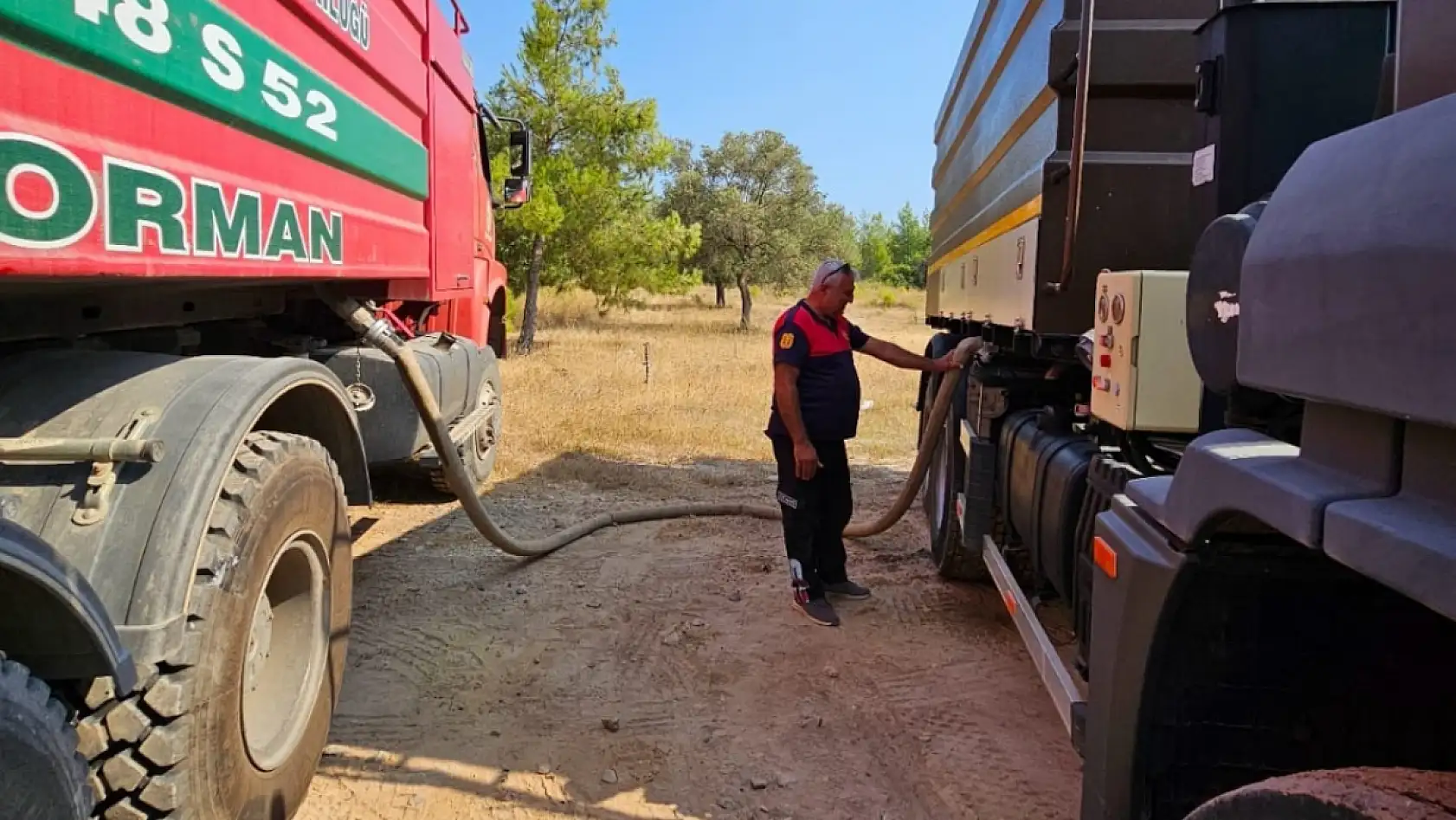 Milas'ta Orman Yangını Korkuttu: Ekipler Alevleri Zamanında Söndürdü