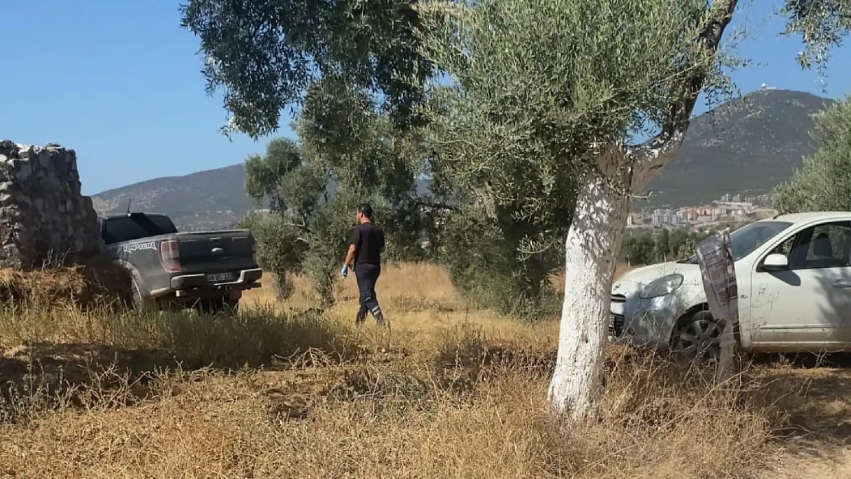 Milas'ın Sevilen Sanayi Esnafı 38 Yaşındaki Cenk Barın Zeytinlikte Ölü Olarak Bulundu