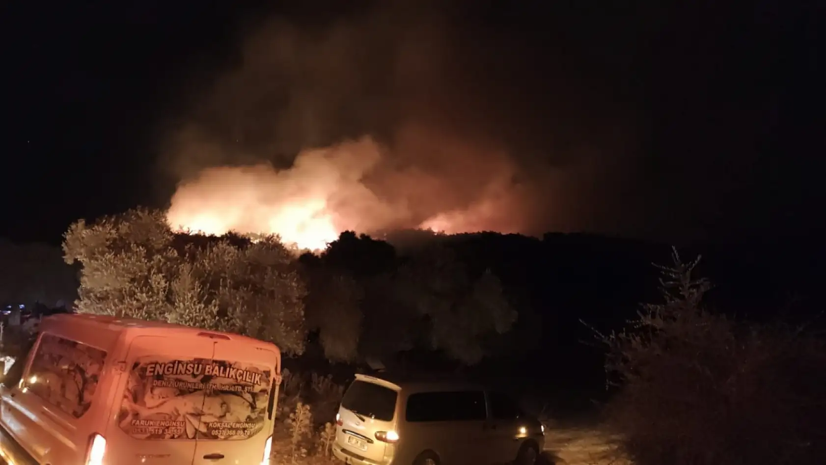 Milas'ın Kıyıkışlacık Mahallesi'nde gece yarısı yangın alarmı