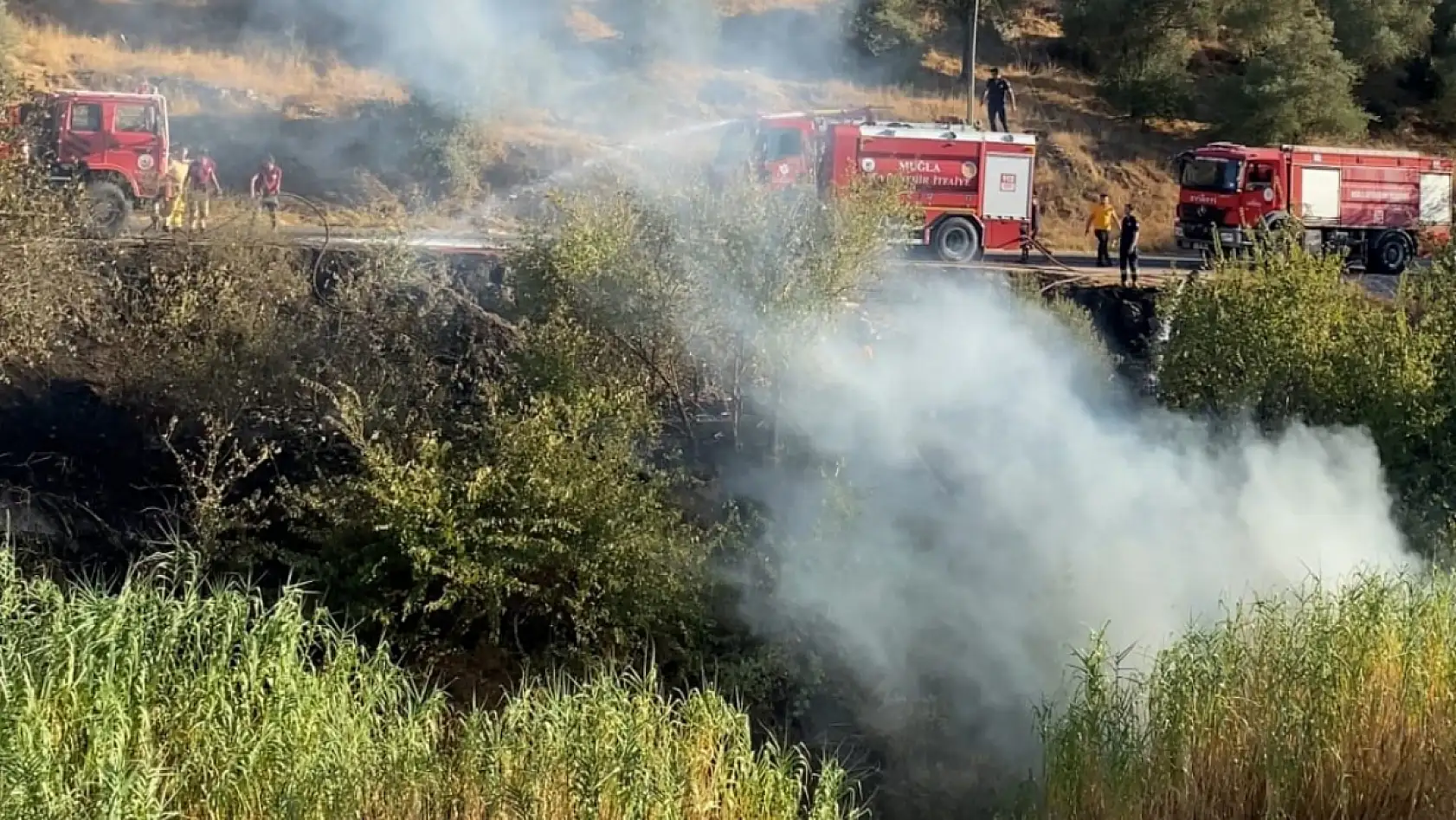 Milas'ta Sarıçay Köprüsü'nde otluk yangını