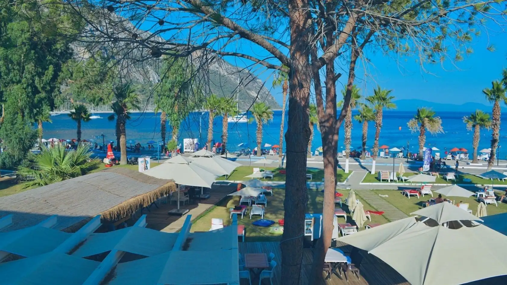 Bodrum'un pahalı algısı Milas'a mı yarıyor?