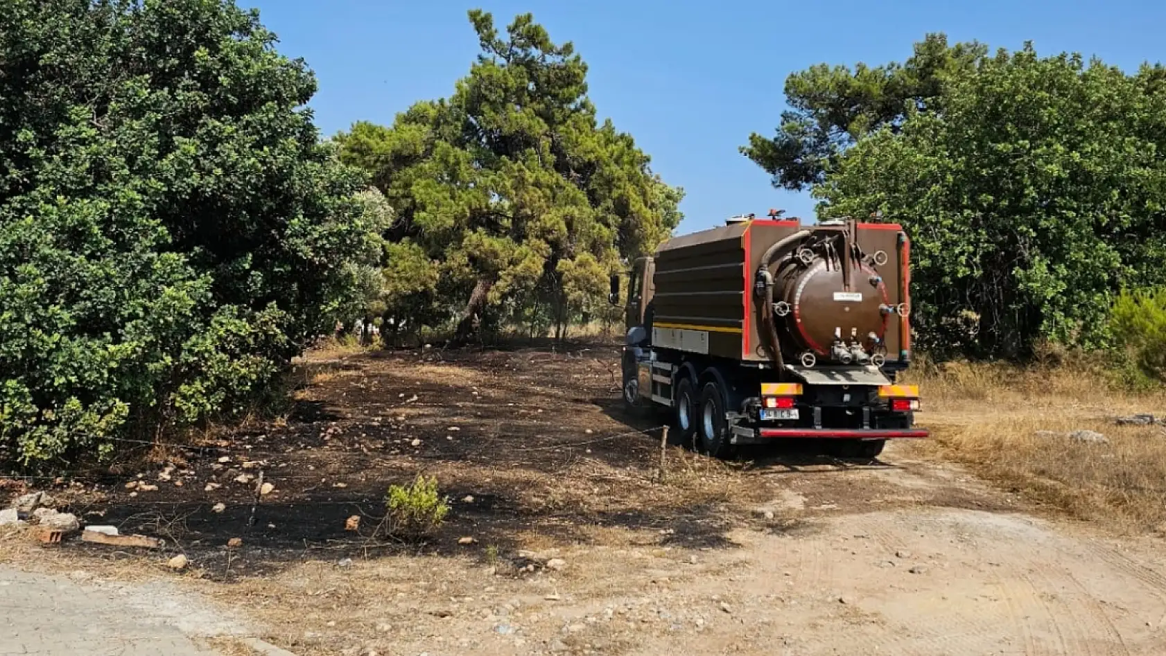 Milas'ta Orman Yangını Korkuttu: Ekipler Alevleri Zamanında Söndürdü