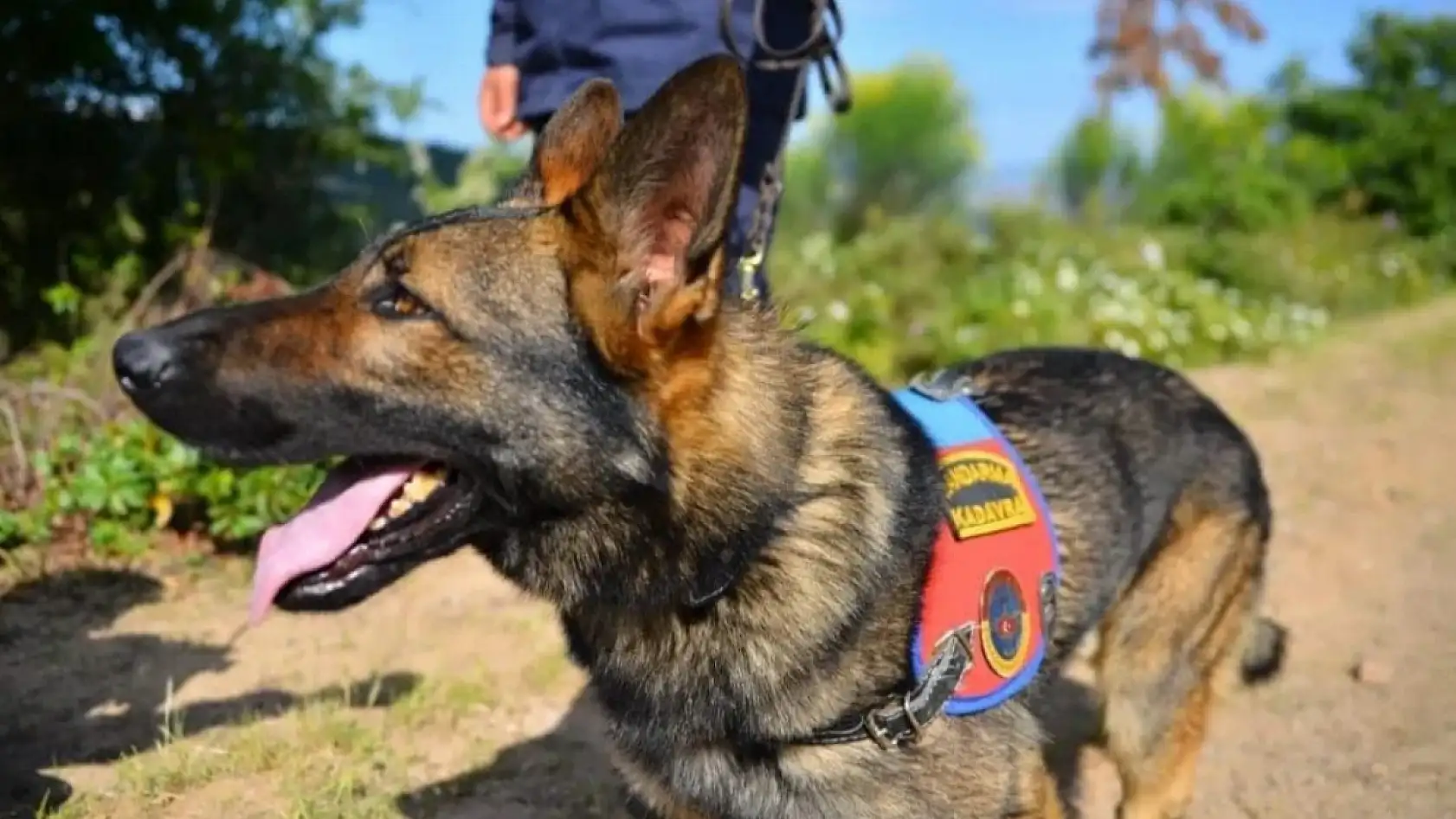 8 aydır kayıp! Süleyman Aydoğar'dan haber alınamıyor