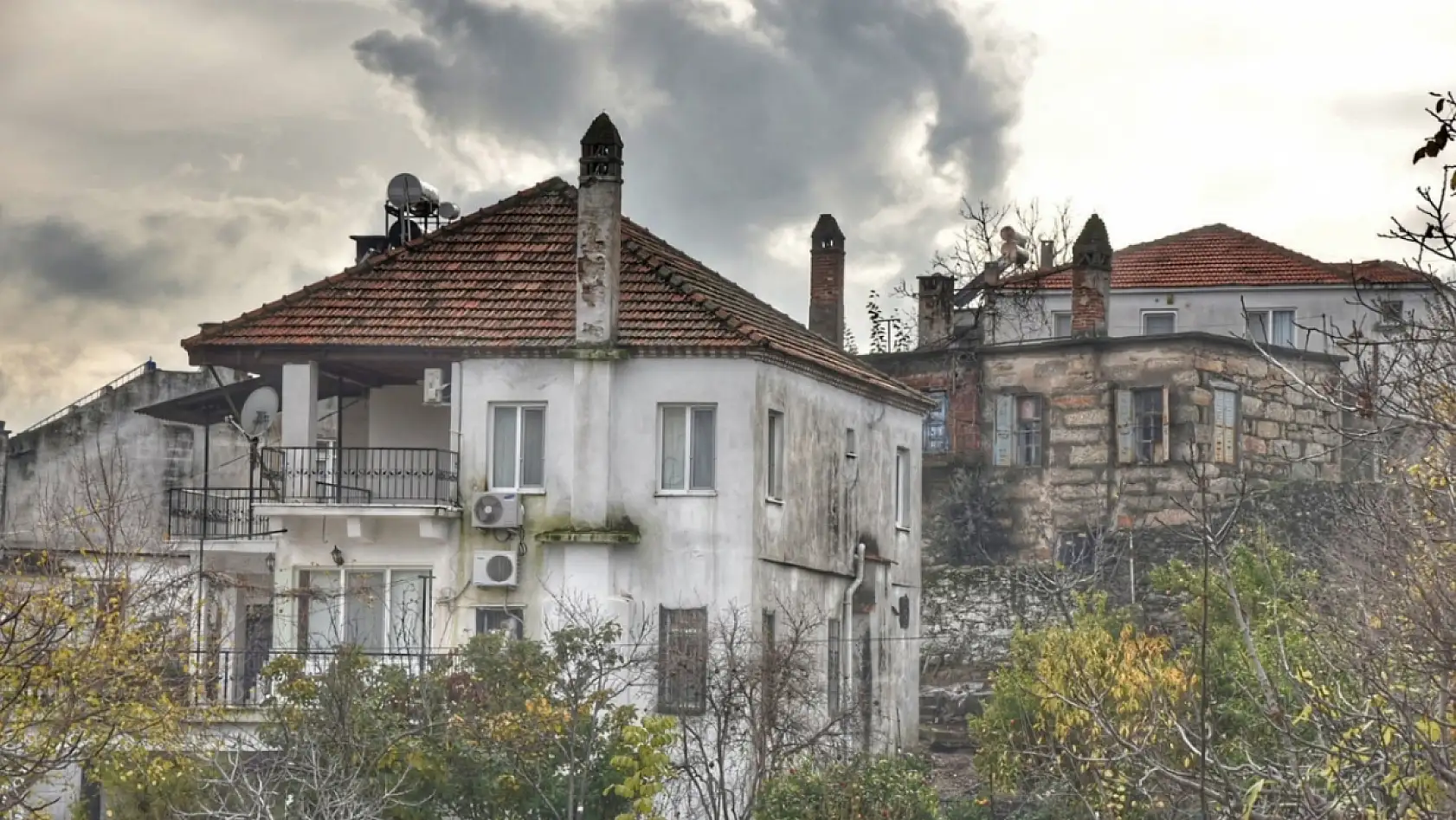 Dünyanın yaşayan tek canlı müzesinin Milas'ta olduğu ortaya çıktı