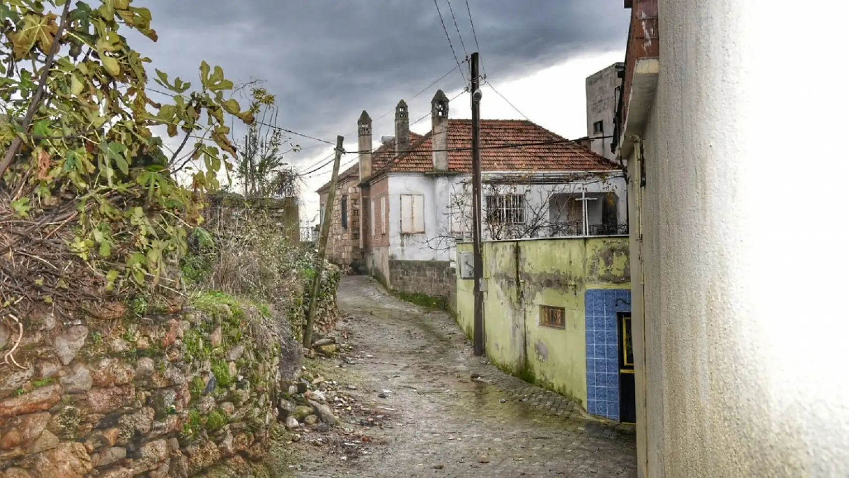 Dünyanın yaşayan tek canlı müzesinin Milas'ta olduğu ortaya çıktı