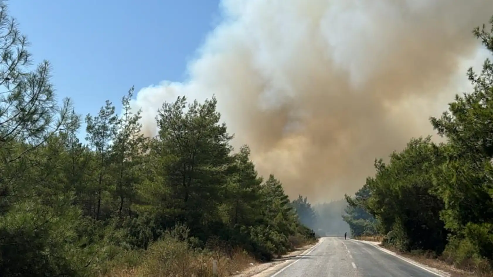 Güvercinlik'te Korkutan Orman Yangını: Ekipler Zamanla Yarışıyor