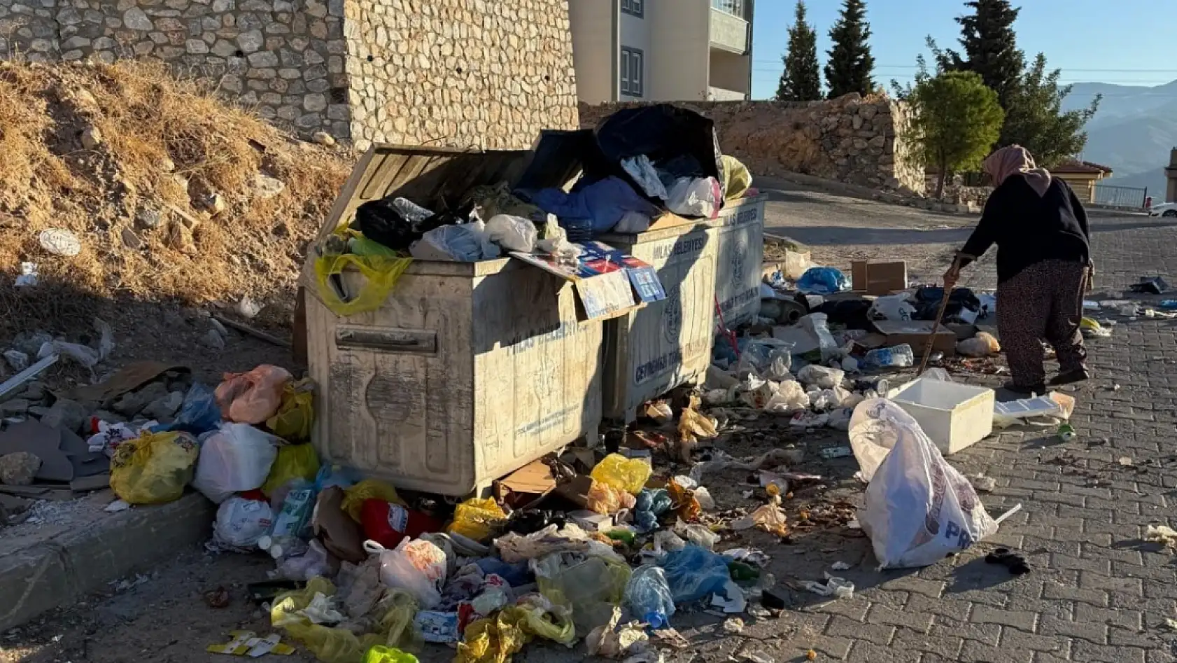 Milas'ta Çöpler Yolları Kapladı, Kokular Mahalleye Yayıldı: Vatandaşlar İsyan Etti