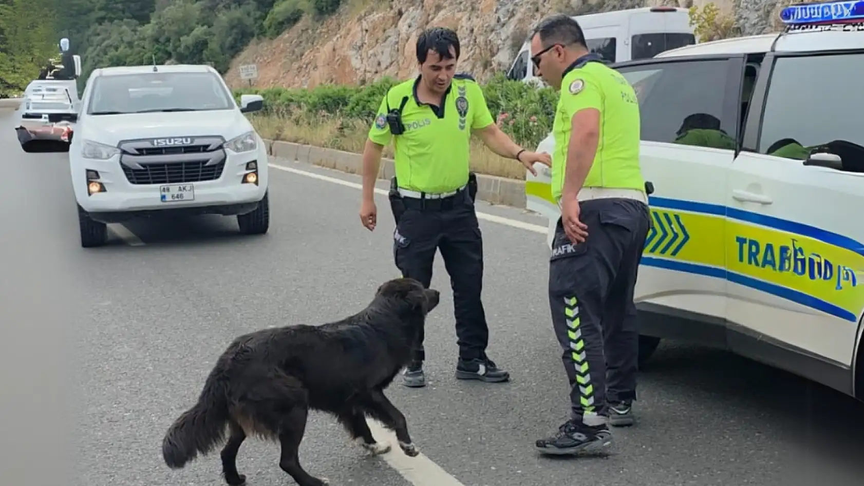 Milas Bodrum karayolunda kazayı izlemeye gelen köpeği ezilmekten polis kurtardı