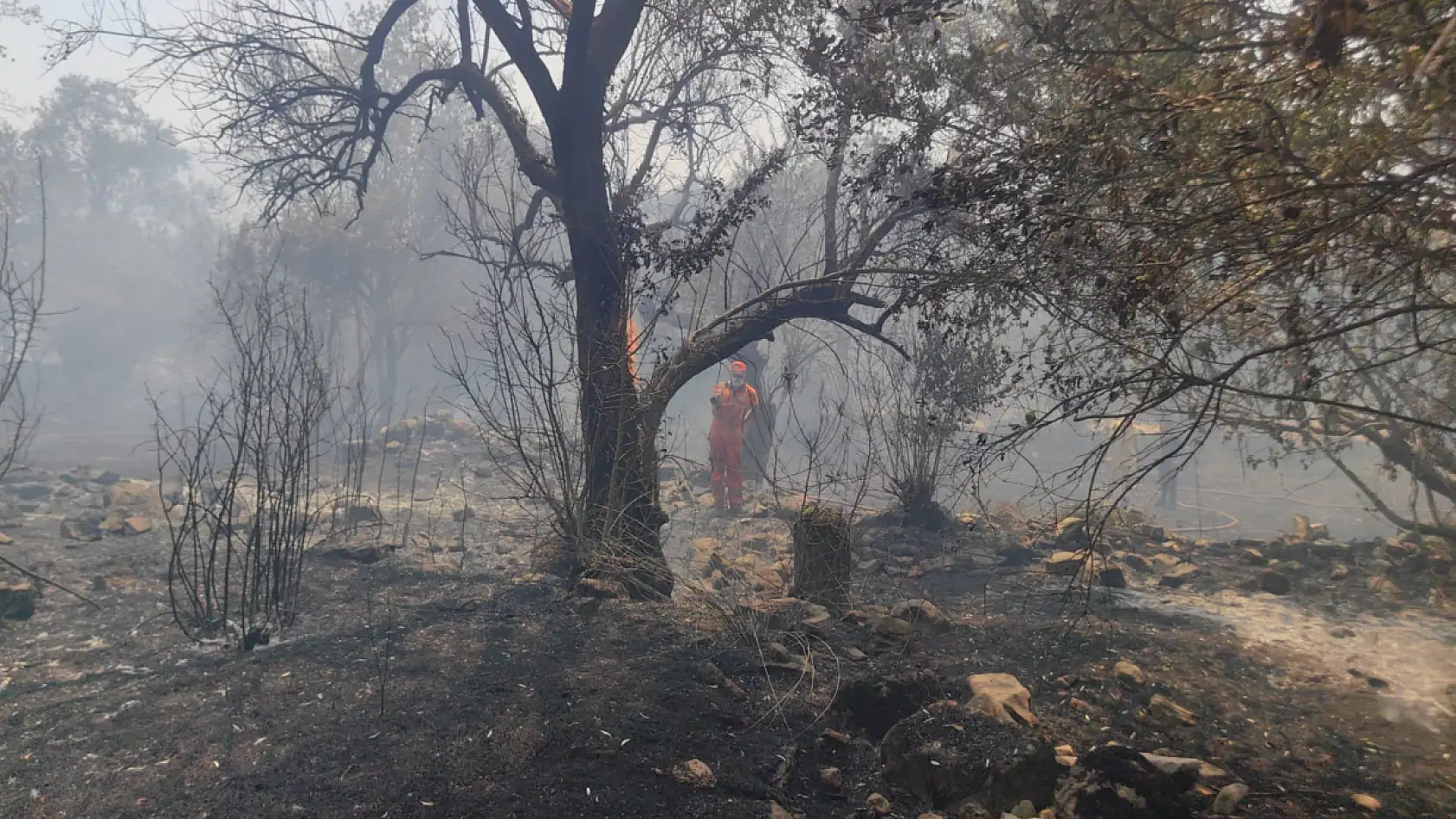 Yatağan'da Çıkan Yangın Kısa Sürede Kontrol Altına Alındı