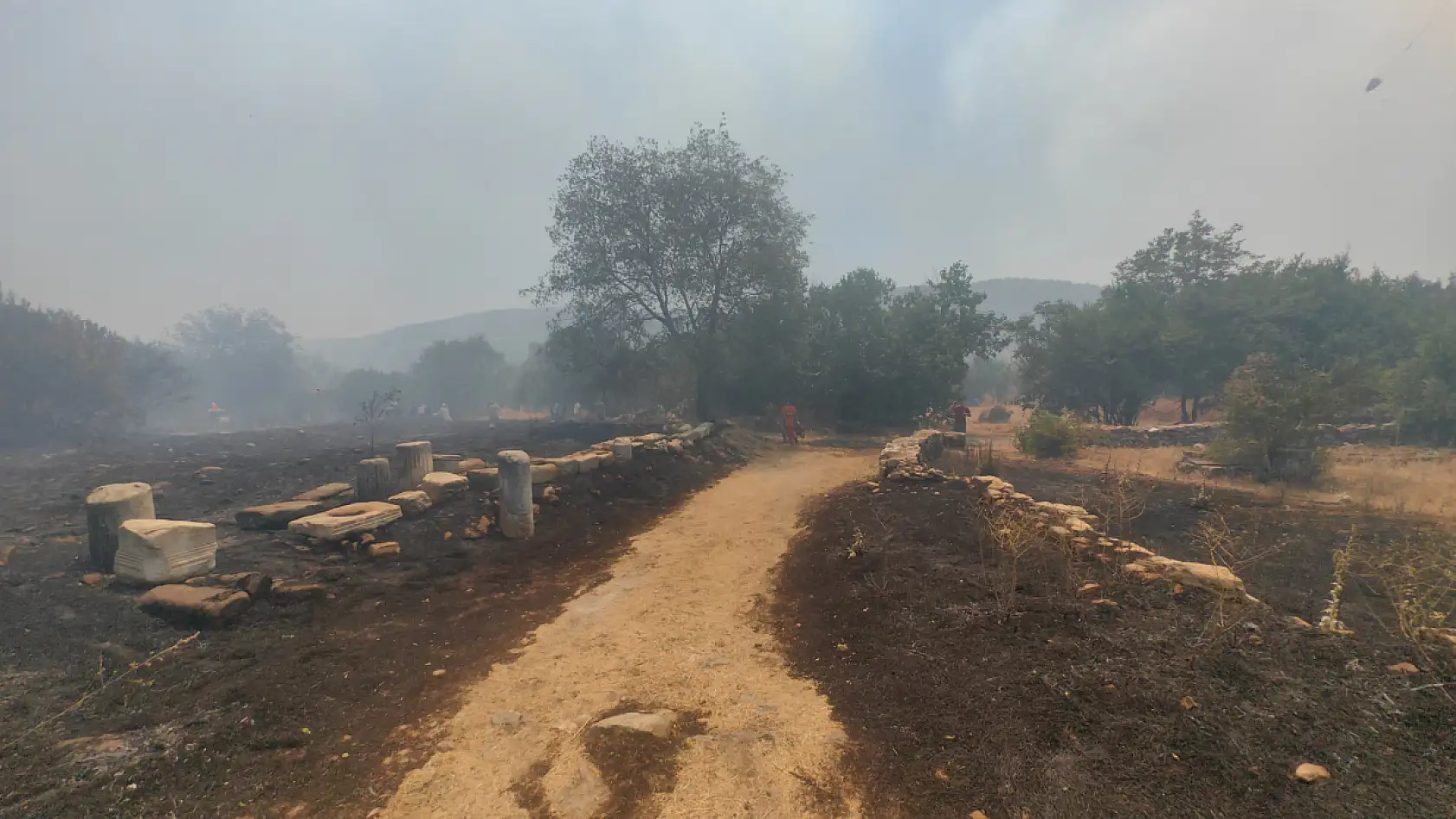 Yatağan'da Çıkan Yangın Kısa Sürede Kontrol Altına Alındı