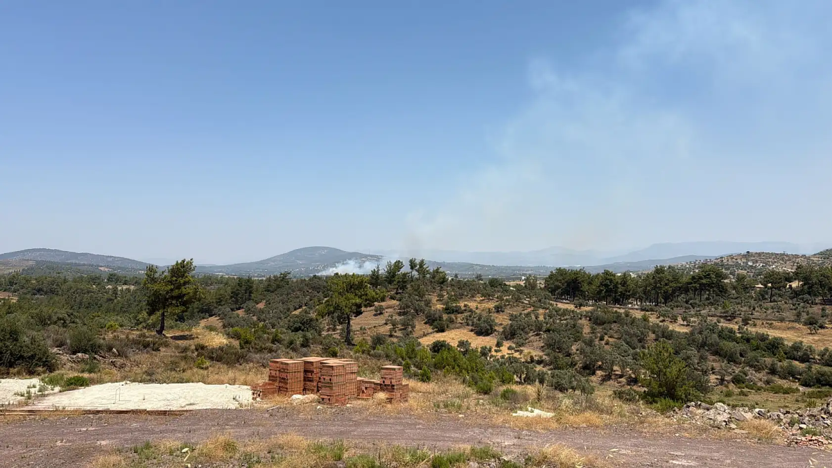 Milas Kuzyaka'da Arazi Yangını Başladı