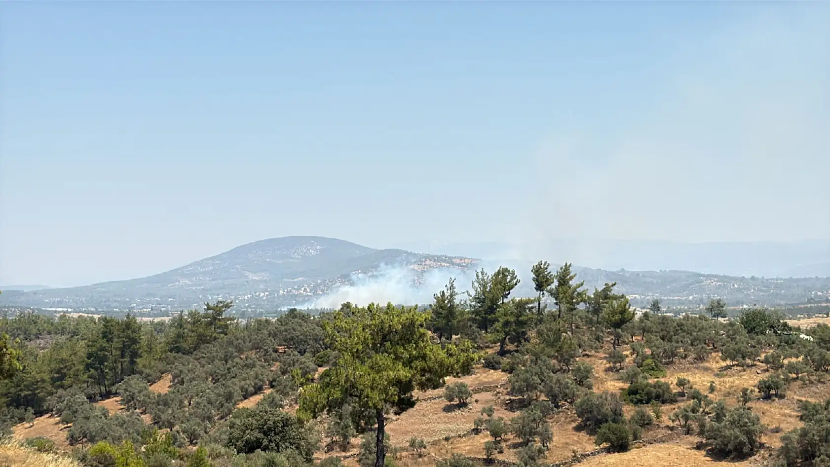 Milas Kuzyaka'da Arazi Yangını Başladı