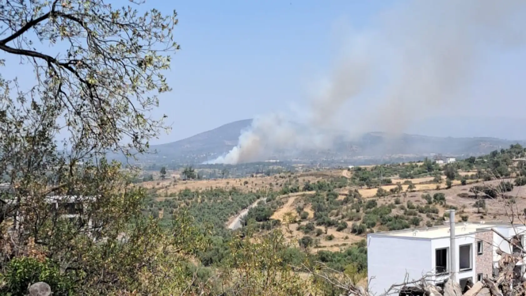 Milas Kuzyaka'da Arazi Yangını Başladı