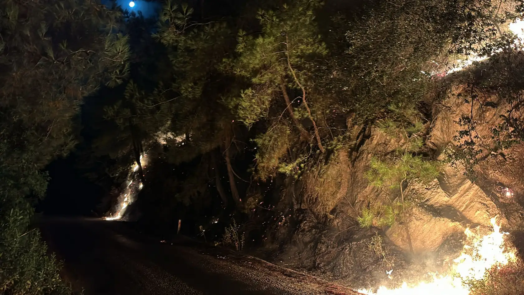 Milas'ta Orman Yangını Büyümeden Kontrol Altına Alındı