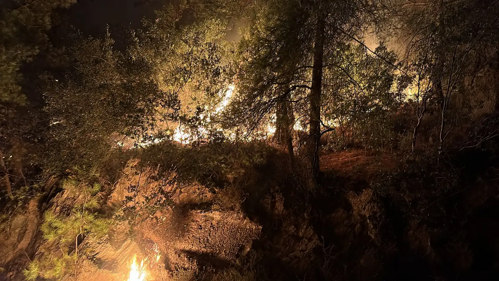 Milas'ta Orman Yangını Büyümeden Kontrol Altına Alındı