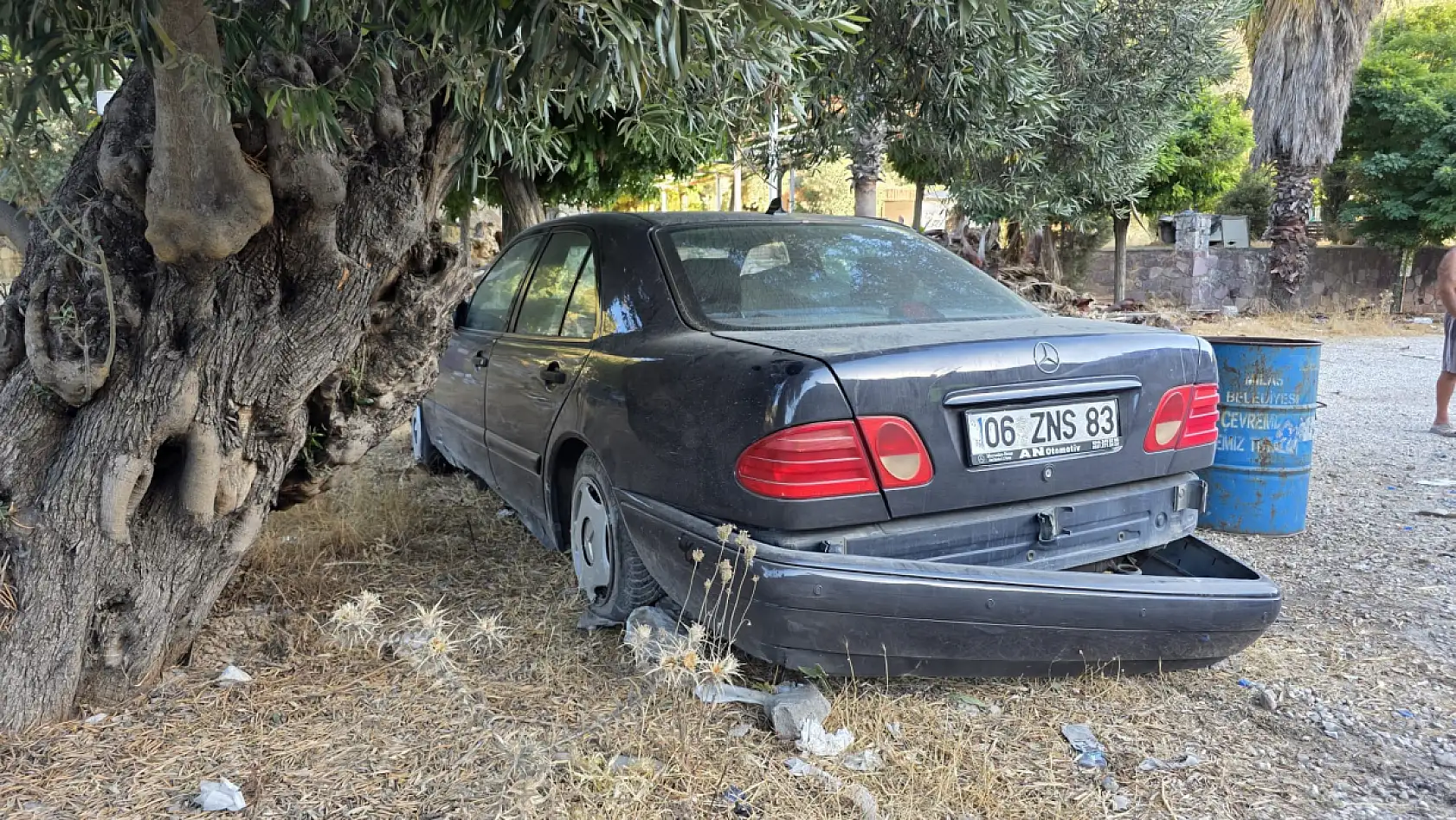 Milas'ta Otomobil Ağaca Çarptı, Motosiklet Kamyona Girdi