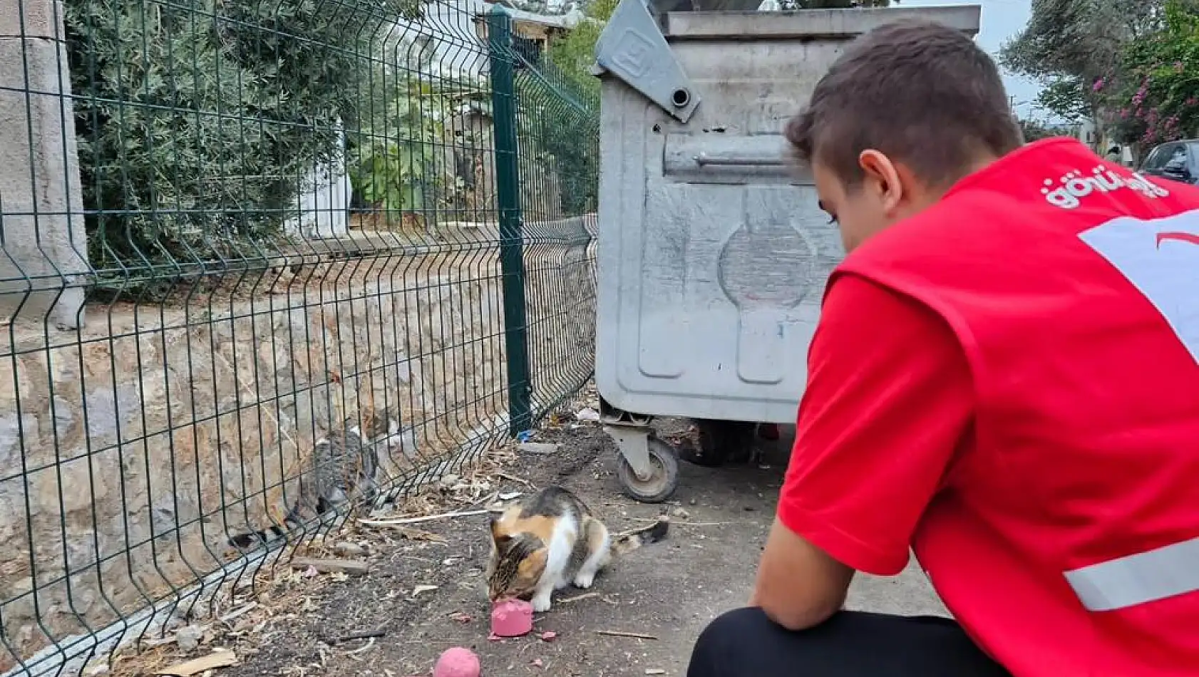 Bodrum Genç Kızılay’dan Sokak Hayvanlarına Büyük Destek