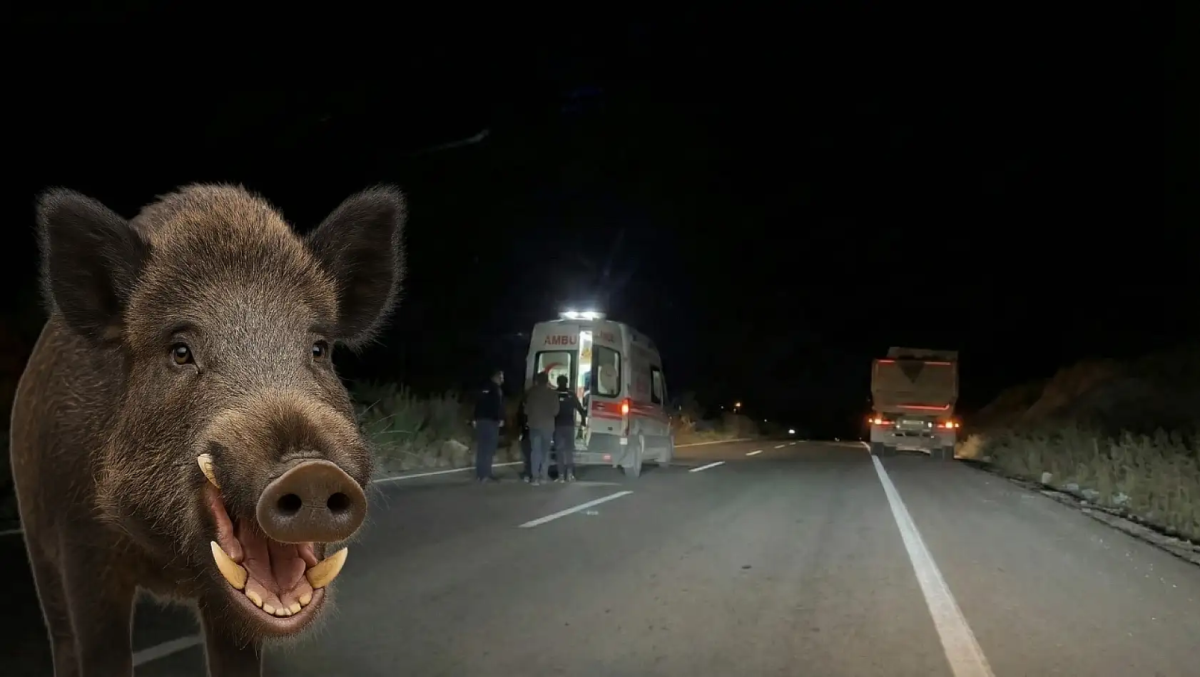 Milas'ta Yaban Domuzu Kazaya Neden Oldu: İki Yaralı