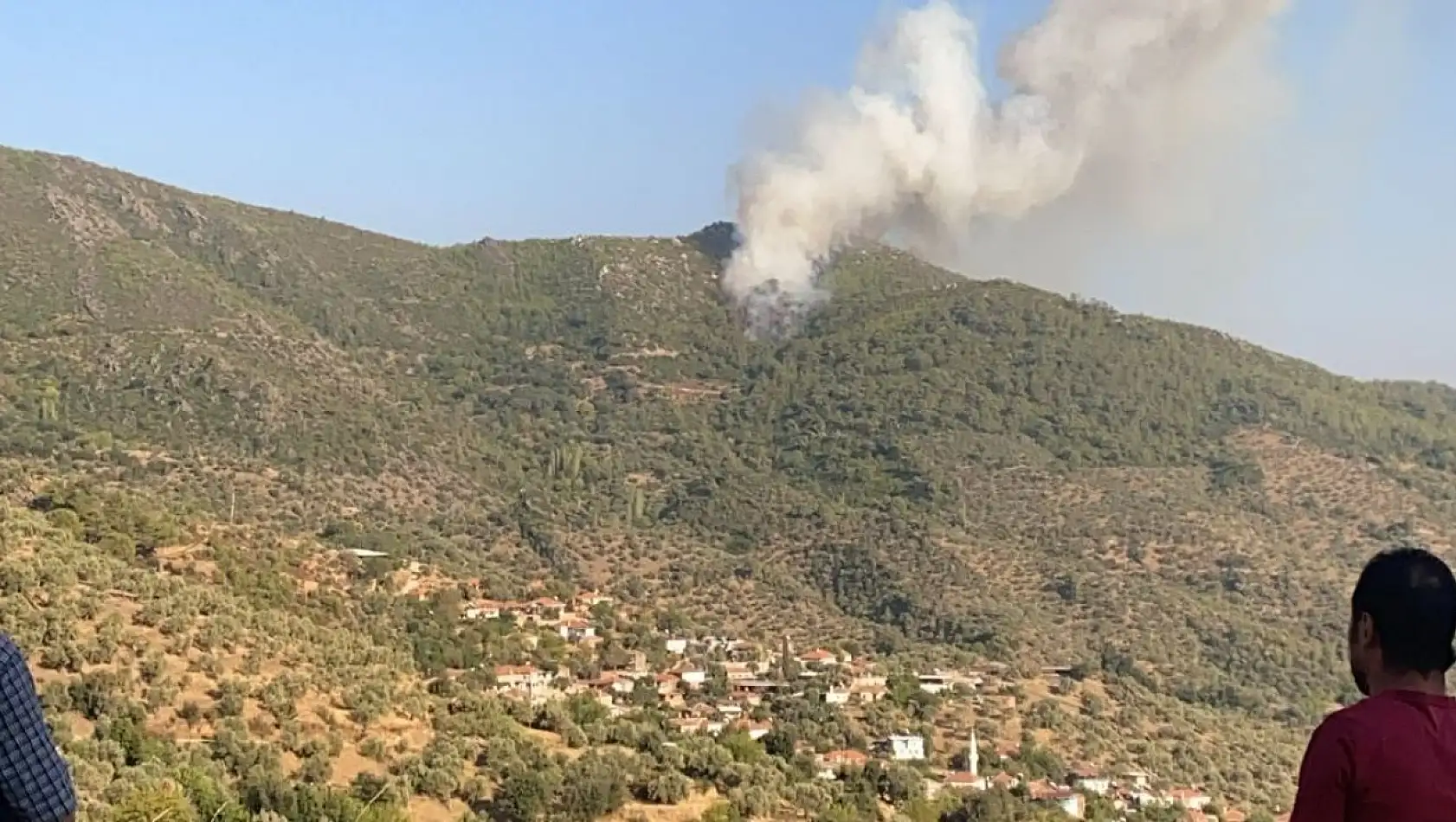 Milas'ın Akçalı Mahallesi Yakınlarında Ormanlık Alanda Yangın Başladı...