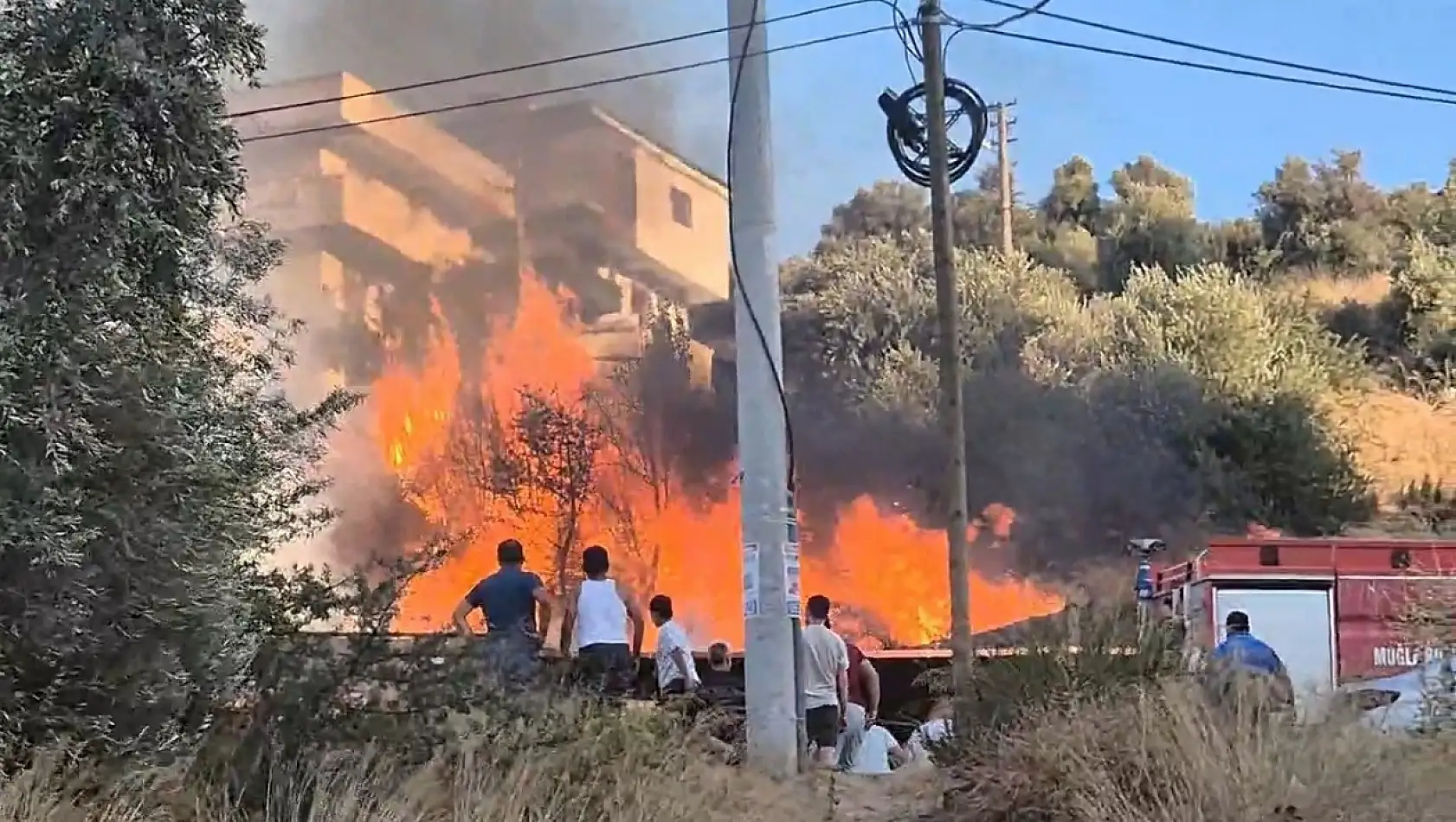 Milas'ın Burgaz Mahallesi'nde Otluk Yangını Paniğe Neden Oldu