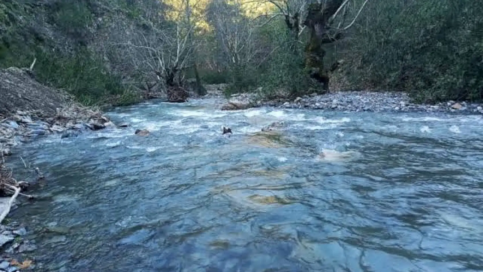 Milas, Kayaderesi Baraj Yapımı Davasına İptal Kararı