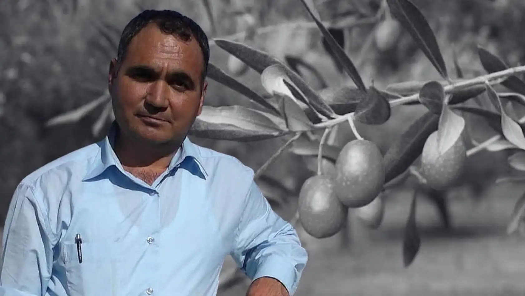 Yukarıyayla'da Zeytin Ağacından Düşen Remzi Erkul Hayatını Kaybetti