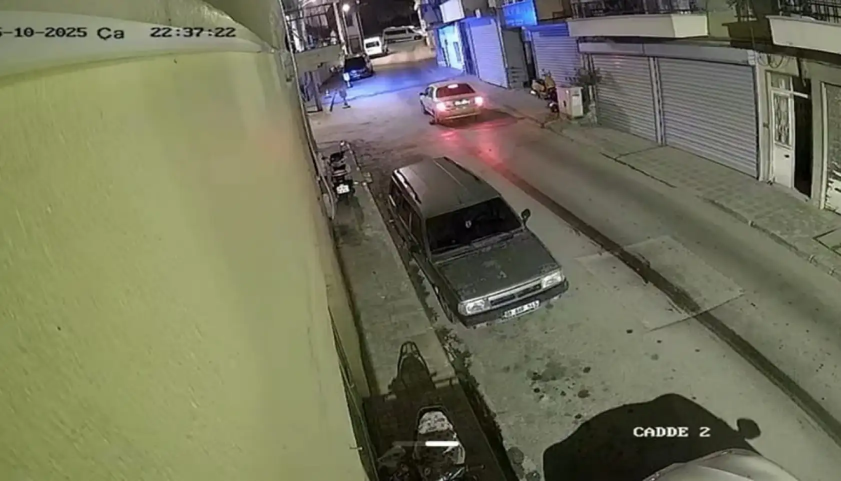 Milas'ta Oklu Kirpinin Ölümü Yürek Burktu