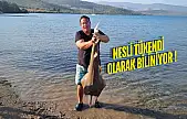 Güllük Körfezinde Biyolojik Mucize: Kemane Balığı Geri Döndü