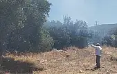 Milas Aslanyakası'nda Makilik Alanda Yangın Çıktı: Ekipler Seferber Oldu