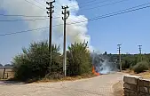 Milas'ın Kafaca Mahallesi'nde Otluk Yangını Korkuttu