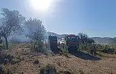 Milas'ın Karacahisar Mahallesi'nde Yangın Kısa Sürede Kontrol Altına Alındı