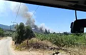 Milas Pınarcık'ta Makilik ve Zeytinlik Alanda Yangın Çıktı