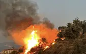 Milas'ta Araç İçerisinden Atıldığı İddia Edilen Meşale Orman Yangınına Sebep Oldu....