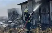 Milas'ta balık çiftliğinde yangın paniği