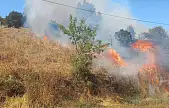 Milas'ta Elektrik Direği Yangına Neden Oldu