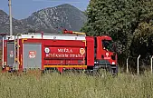 Milas'ta Elektrik Telleri Yangın Çıkardı: Otluk Alan Alev Aldı