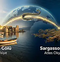 Ölümüne bir aşk yolculuğu: 7.000 km gidip bir daha asla dönmüyorlar…