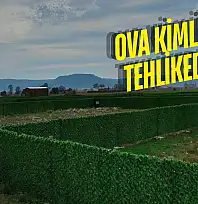 Milas Ovasında Yeni Tehdit: Hobi Bahçesi Maskesiyle Parsel Satışı