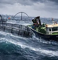 Milas'ta Fırtınaya Meydan Okuyan Ekmek Kavgası: Balıkçılar Güllük Körfezi'nde Dalgalarla Boğuştu