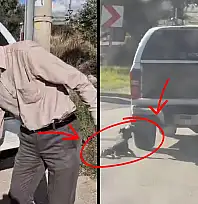 Milas'ta Köpeğin Sürüklenerek Öldüğü Görüntüler Tepki Çekti Sürücü:  'Olay Kazara Yaşandı Üzgünüm'