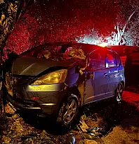 Milas'ta otomobil zeytin ağacına çarpıp takla attı: Sürücü yaralandı