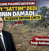 Milas'ta zeytin ağacı kesme polemiği büyüyor: Kılbey 'sattım'' dedi, alıcının damadı olduğu ortaya çıktı