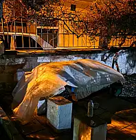 Milas Ulu Camii Bahçesinde Naylona Sarılı Yaşam Mücadelesi