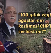 Tarım ve Orman Bakanı Yumaklı'dan Milas'ta kesilen zeytin ağaçlarıyla ilgili sert açıklama